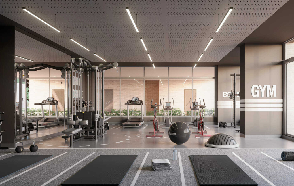 gimnasio ferrara