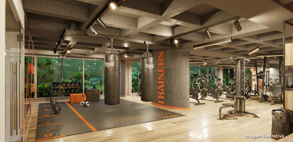 Gimnasio