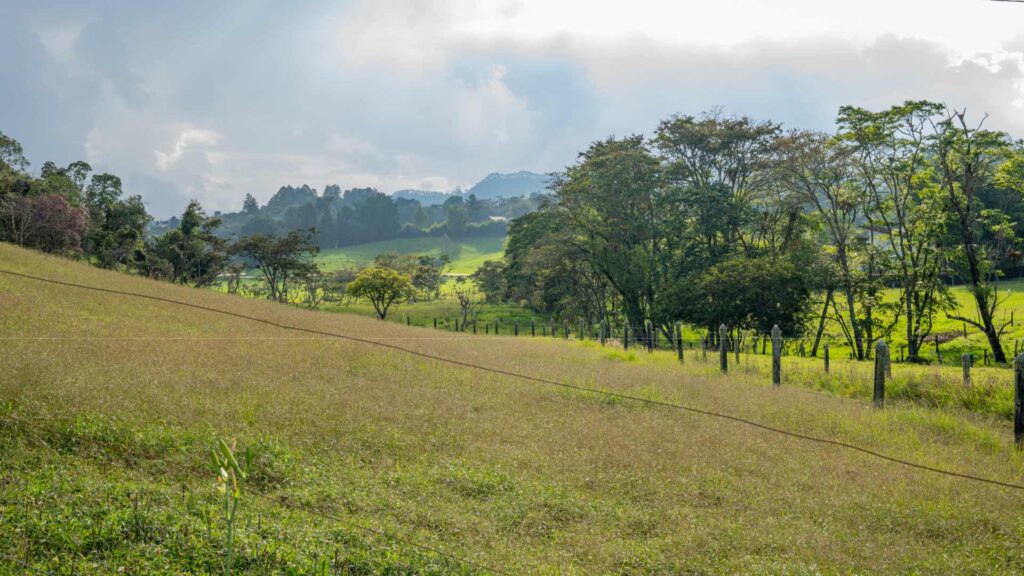 Verde-morena-lotes-en-llanogrande-antioquia_4