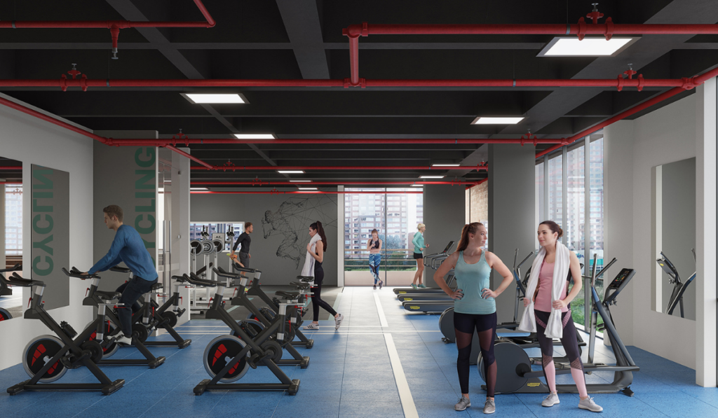 Gimnasio